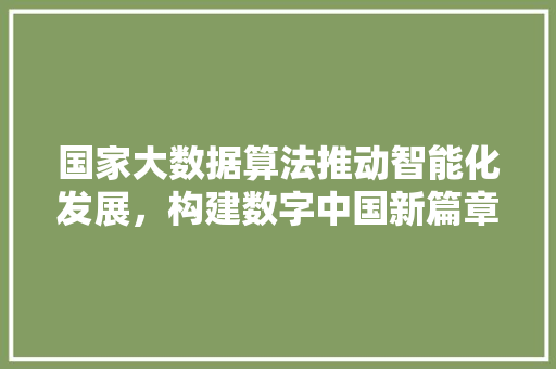 国家大数据算法推动智能化发展，构建数字中国新篇章