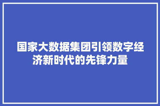 国家大数据集团引领数字经济新时代的先锋力量 WordPress教程