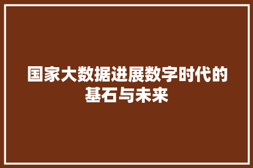 国家大数据进展数字时代的基石与未来 SEO教程