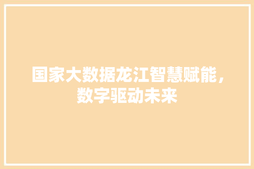 国家大数据龙江智慧赋能，数字驱动未来
