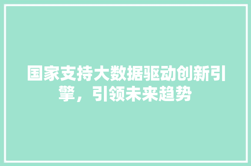 国家支持大数据驱动创新引擎，引领未来趋势