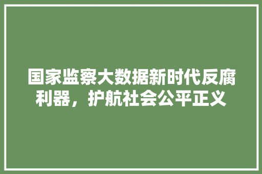 国家监察大数据新时代反腐利器，护航社会公平正义