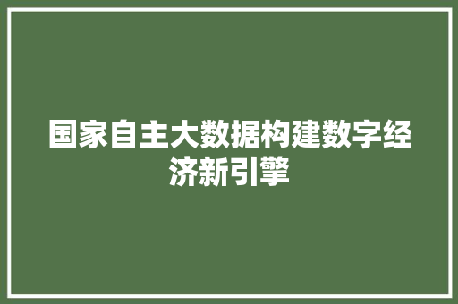 国家自主大数据构建数字经济新引擎