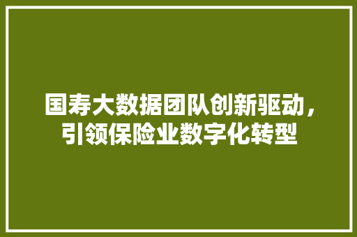 国寿大数据团队创新驱动，引领保险业数字化转型