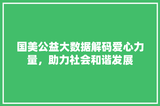 国美公益大数据解码爱心力量，助力社会和谐发展