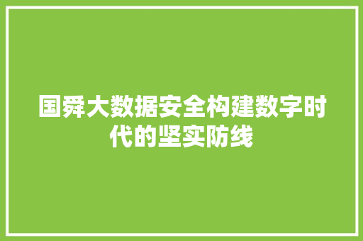 国舜大数据安全构建数字时代的坚实防线