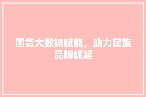 国货大数据赋能，助力民族品牌崛起