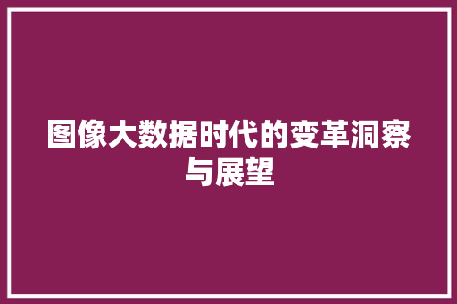 图像大数据时代的变革洞察与展望 WordPress教程
