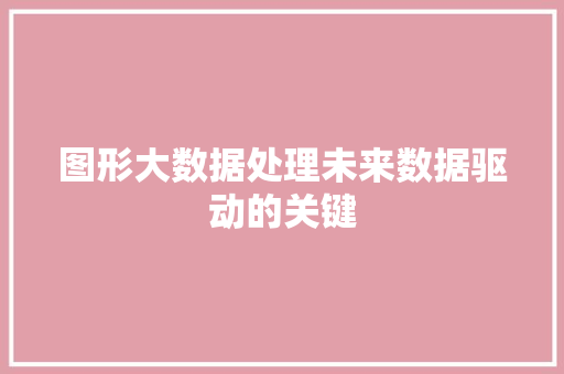 图形大数据处理未来数据驱动的关键 SEO教程