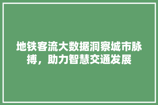 地铁客流大数据洞察城市脉搏，助力智慧交通发展