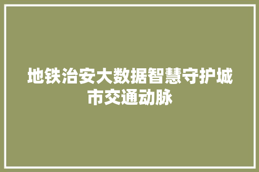 地铁治安大数据智慧守护城市交通动脉 Web前端