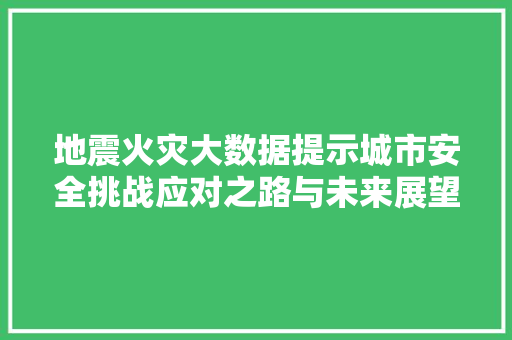 地震火灾大数据提示城市安全挑战应对之路与未来展望 服务器/数据库