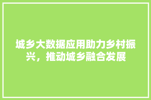 城乡大数据应用助力乡村振兴，推动城乡融合发展