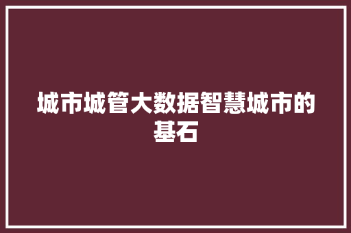 城市城管大数据智慧城市的基石
