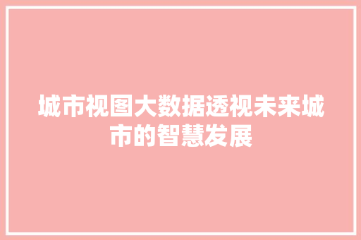 城市视图大数据透视未来城市的智慧发展