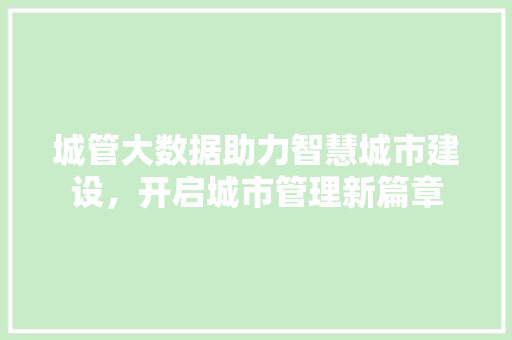 城管大数据助力智慧城市建设，开启城市管理新篇章