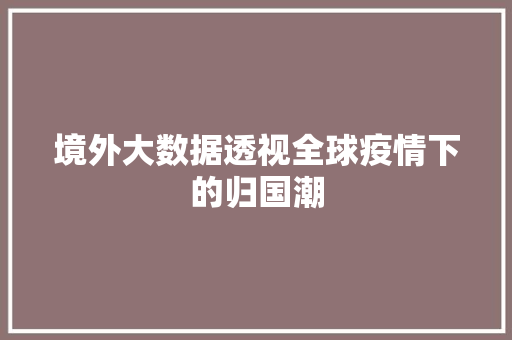 境外大数据透视全球疫情下的归国潮