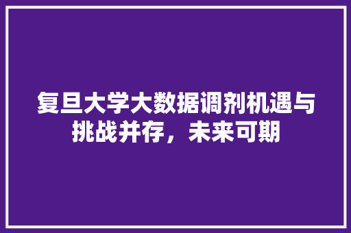 复旦大学大数据调剂机遇与挑战并存，未来可期
