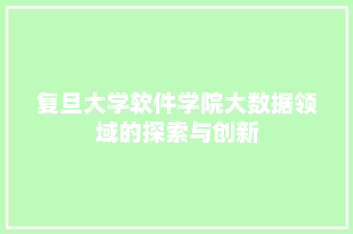 复旦大学软件学院大数据领域的探索与创新 SEO教程