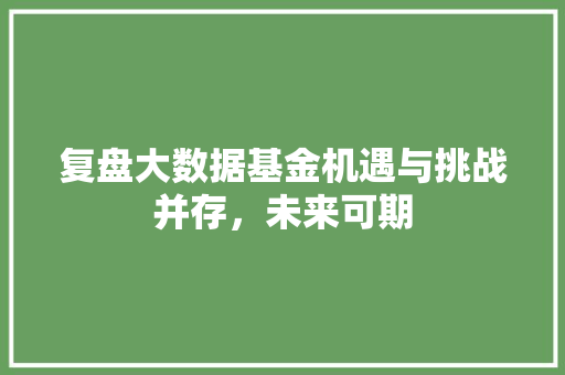 复盘大数据基金机遇与挑战并存,未来可期 WordPress教程 复盘大数据基金机遇与挑战并存,未来可期 WordPress教程