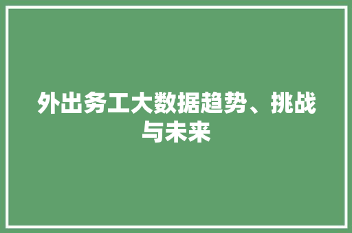 外出务工大数据趋势、挑战与未来