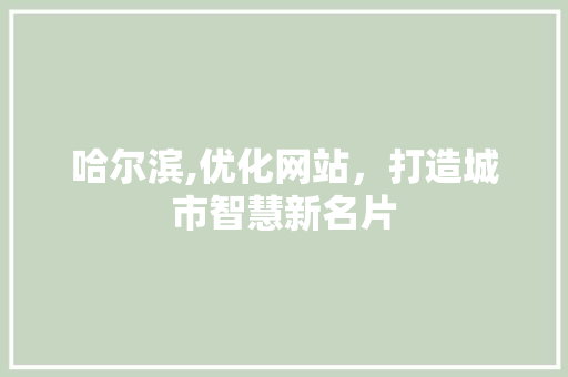 哈尔滨,优化网站，打造城市智慧新名片