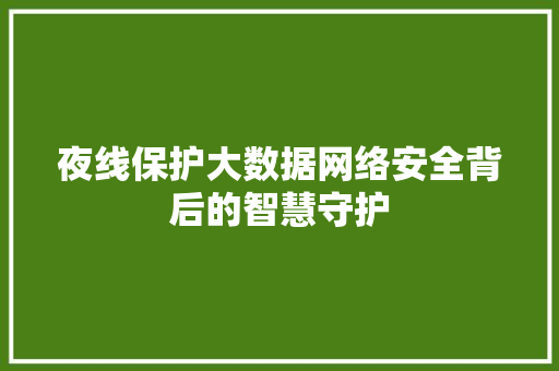 夜线保护大数据网络安全背后的智慧守护