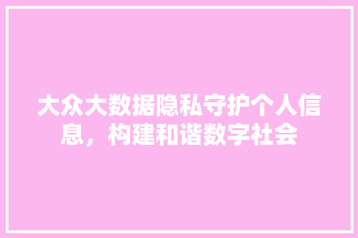 大众大数据隐私守护个人信息，构建和谐数字社会