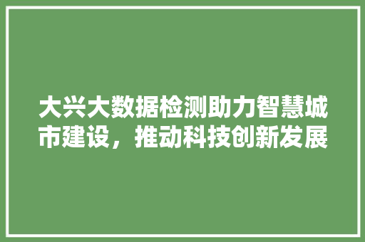 大兴大数据检测助力智慧城市建设，推动科技创新发展