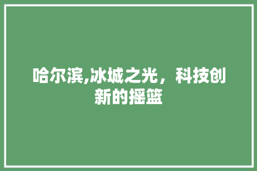 哈尔滨,冰城之光，科技创新的摇篮