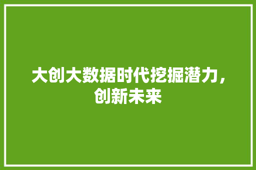 大创大数据时代挖掘潜力，创新未来