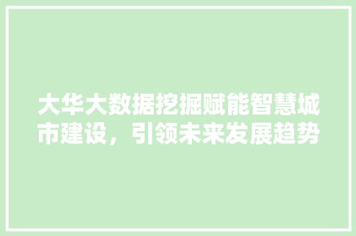 大华大数据挖掘赋能智慧城市建设，引领未来发展趋势