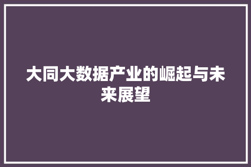 大同大数据产业的崛起与未来展望
