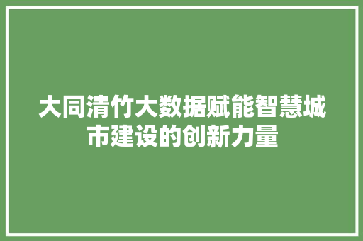 大同清竹大数据赋能智慧城市建设的创新力量