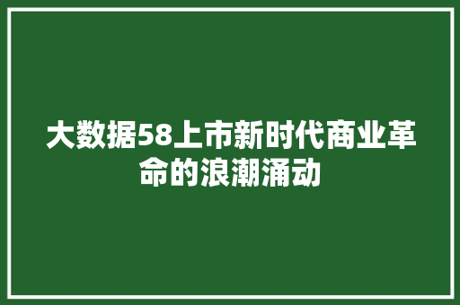 大数据58上市新时代商业革命的浪潮涌动