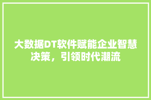 大数据DT软件赋能企业智慧决策，引领时代潮流