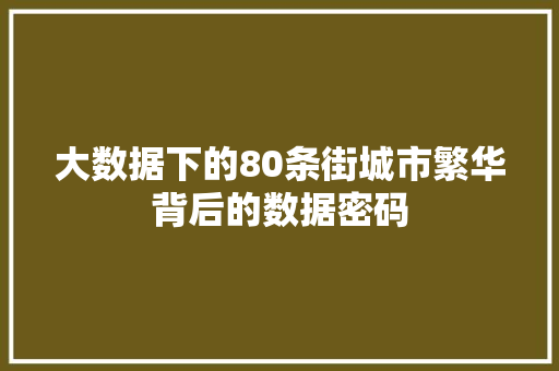 大数据下的80条街城市繁华背后的数据密码