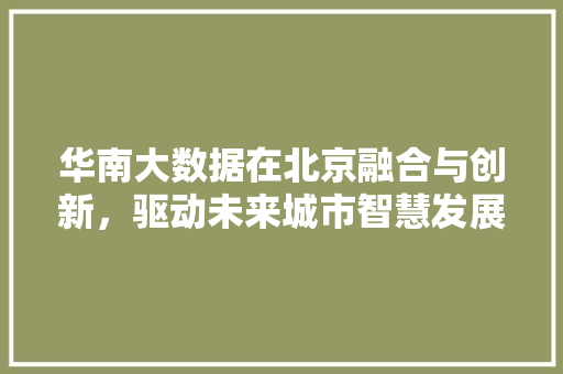 华南大数据在北京融合与创新，驱动未来城市智慧发展 SEO教程