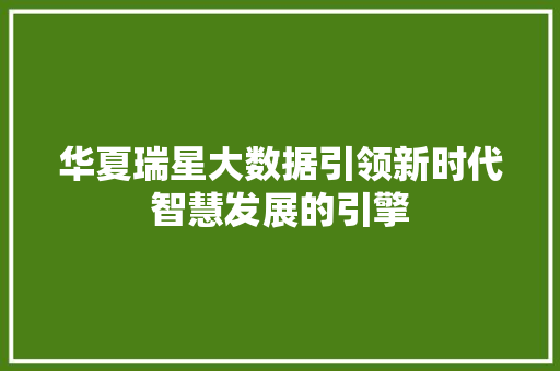 华夏瑞星大数据引领新时代智慧发展的引擎