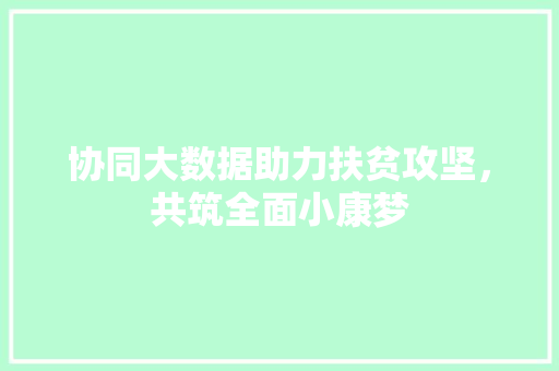 协同大数据助力扶贫攻坚，共筑全面小康梦