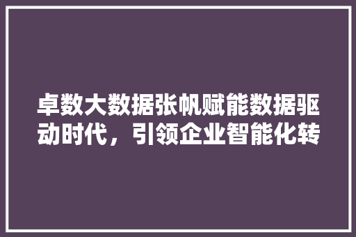 卓数大数据张帆赋能数据驱动时代，引领企业智能化转型 SEO教程