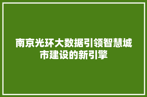 南京光环大数据引领智慧城市建设的新引擎