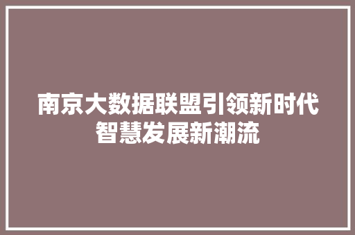 南京大数据联盟引领新时代智慧发展新潮流