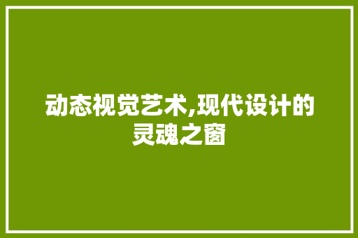 动态视觉艺术,现代设计的灵魂之窗