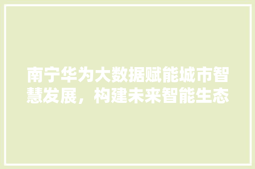 南宁华为大数据赋能城市智慧发展，构建未来智能生态 Web前端