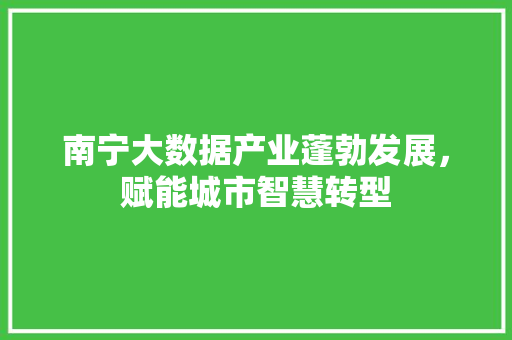 南宁大数据产业蓬勃发展，赋能城市智慧转型 SEO教程