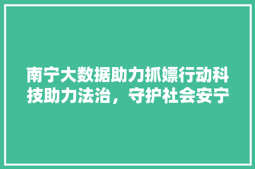 南宁大数据助力抓嫖行动科技助力法治，守护社会安宁 友链在线
