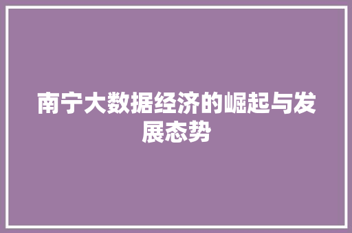 南宁大数据经济的崛起与发展态势 SEO教程