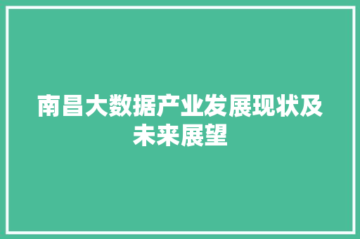 南昌大数据产业发展现状及未来展望