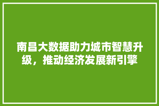 南昌大数据助力城市智慧升级，推动经济发展新引擎 建站教程